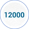 12,000 square meters of modern production base 12,000 square meters of modern production base